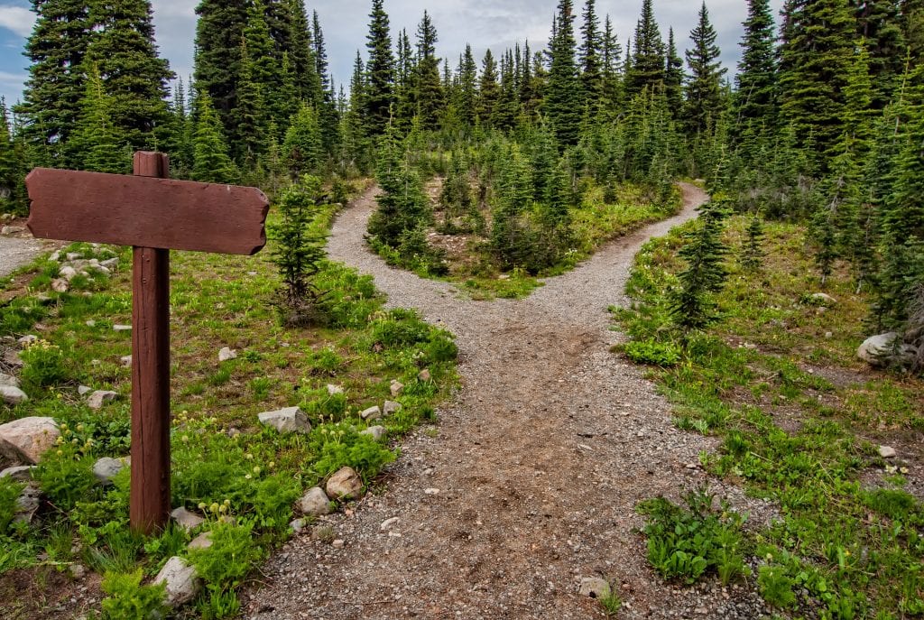 wilderness-trail-short-cut